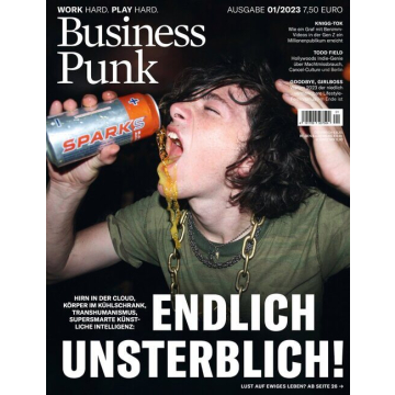 BUSINESS PUNK 01/2023