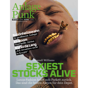 ANLAGEPUNK 2025/01