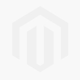 BUSINESS PUNK Studenten-Digitalabo